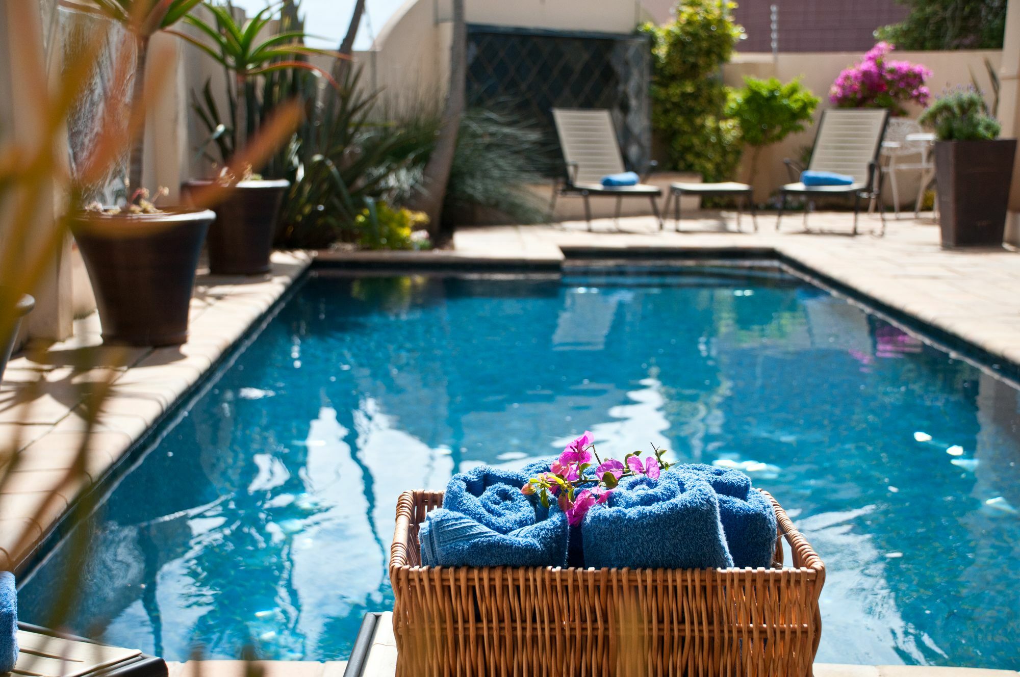Cape Flame Guest House Port Elizabeth Buitenkant foto